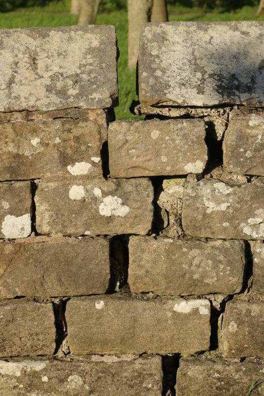 Stone Wall Repair in San Joaquin County, CA